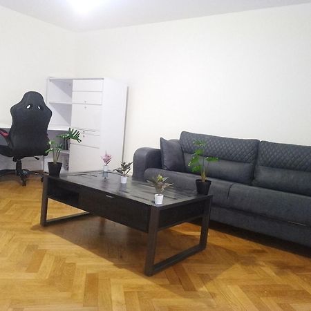 Charming Flat Center And Near The Lake Genf Kültér fotó