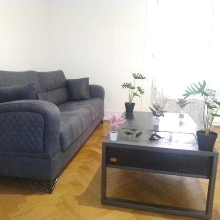 Charming Flat Center And Near The Lake Genf Kültér fotó