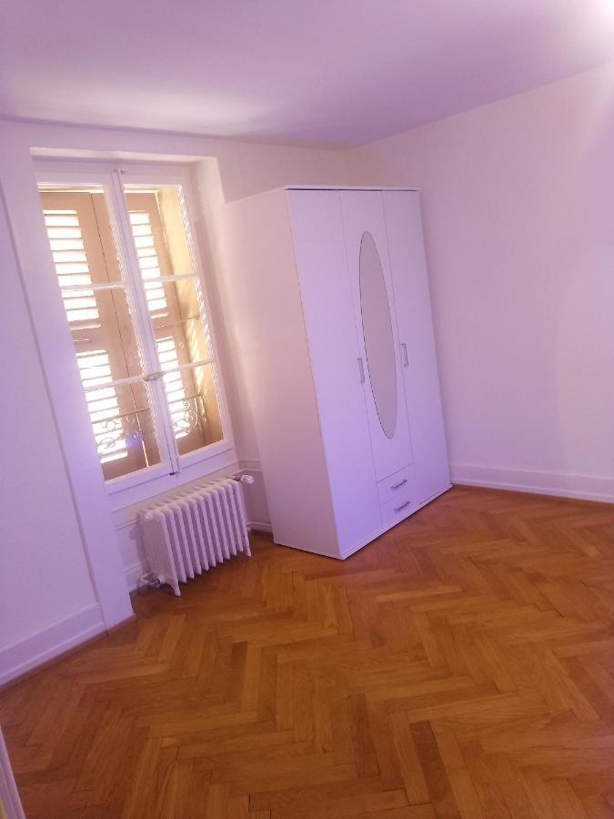 Charming Flat Center And Near The Lake Genf Kültér fotó