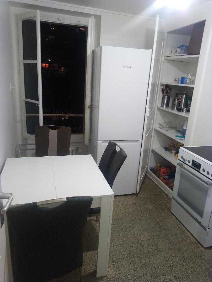 Charming Flat Center And Near The Lake Genf Kültér fotó