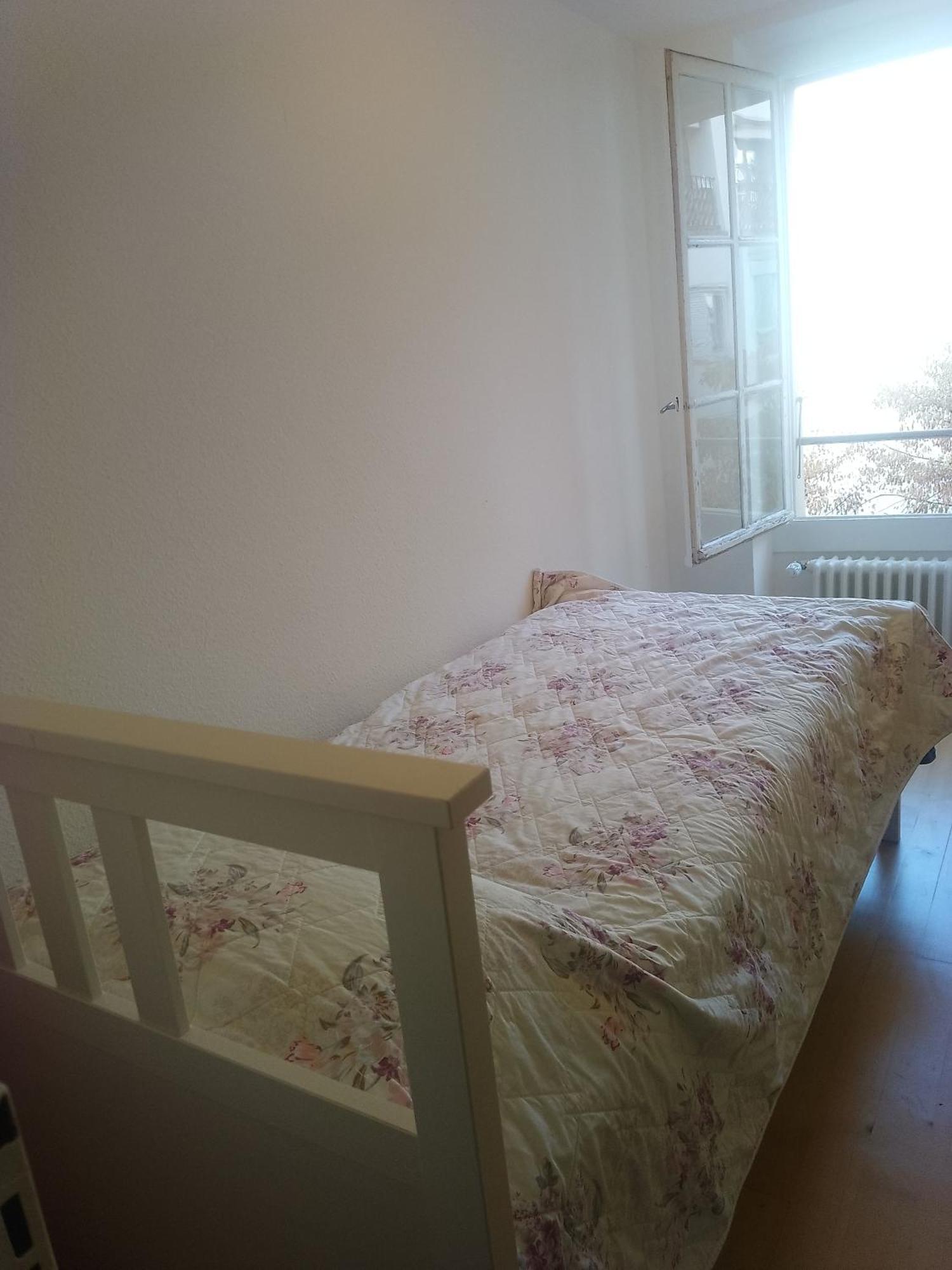 Charming Flat Center And Near The Lake Genf Kültér fotó