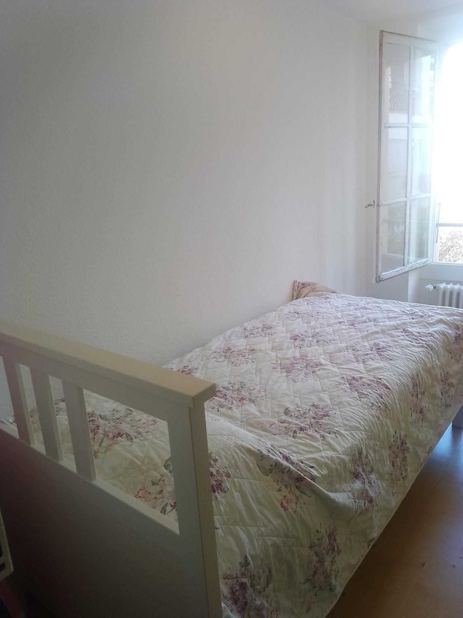 Charming Flat Center And Near The Lake Genf Kültér fotó
