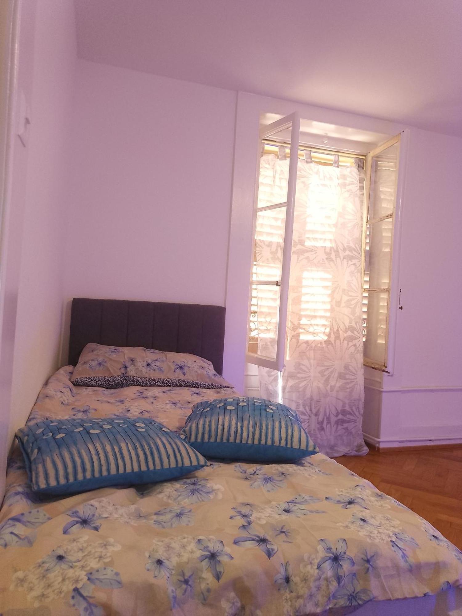 Charming Flat Center And Near The Lake Genf Kültér fotó