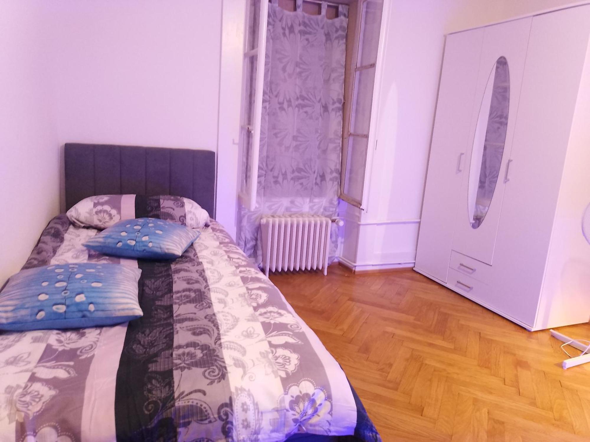 Charming Flat Center And Near The Lake Genf Kültér fotó