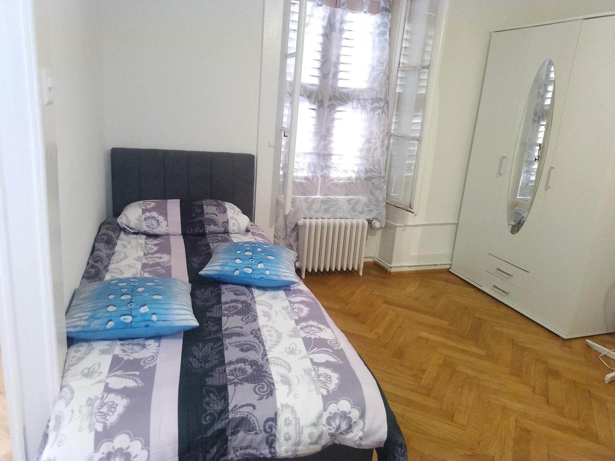 Charming Flat Center And Near The Lake Genf Kültér fotó