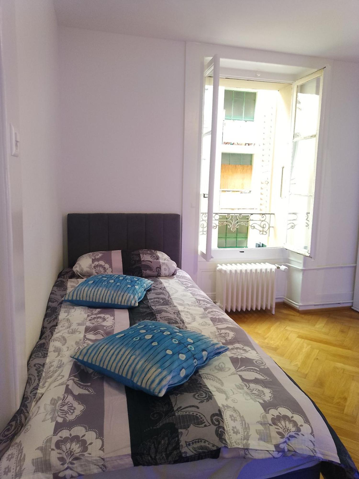 Charming Flat Center And Near The Lake Genf Kültér fotó
